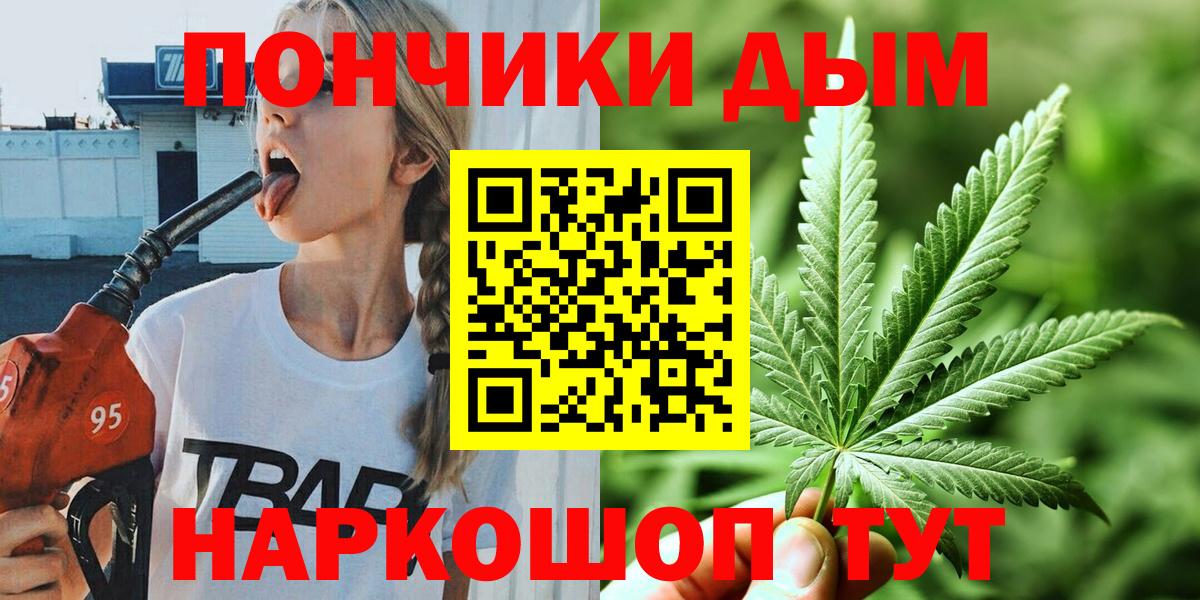 Конопля индика Отрадный