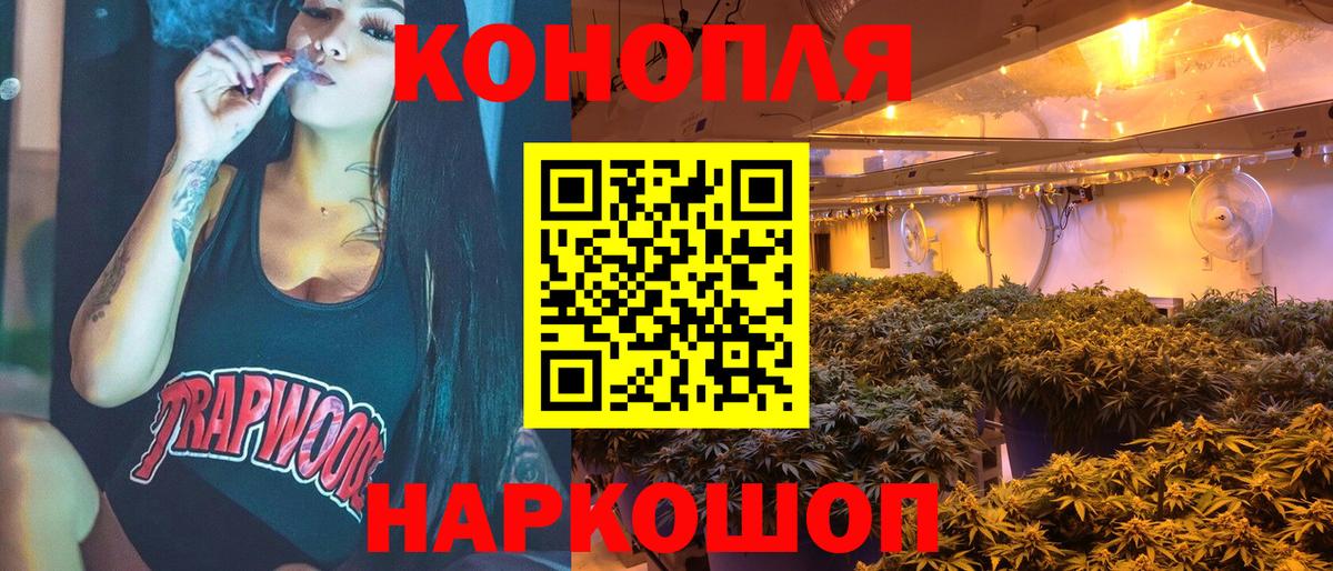 Бошки марихуана SATIVA & INDICA  МАРИХУАНА планчик  Отрадный  Вход с VPN 